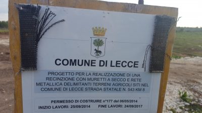 La strana accelerazione del Pug e lo strano caso in via Masseria Lamia - Corriere Salentino