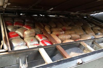 Marijuana e kalashnikov, scattano cinque arresti: sequestrata quasi una tonnellata di "erba" - Corriere Salentino