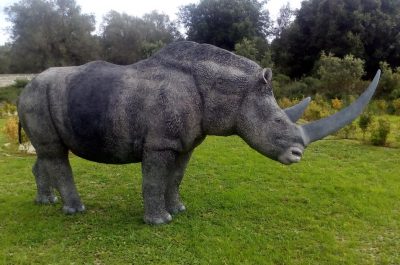 "Dai giganti dell’Era Glaciale alle origini dell’Uomo", al Museo di Storia Naturale del Salento - Corriere Salentino