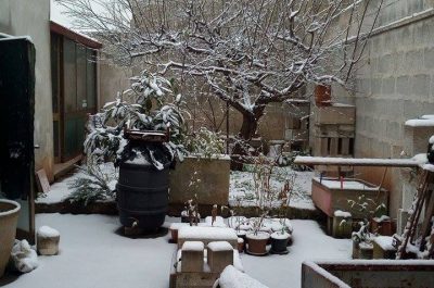 Il Salento nella morsa del gelo, ecco le immagini - Corriere Salentino