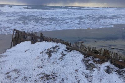 Il Salento nella morsa del gelo, ecco le immagini - Corriere Salentino