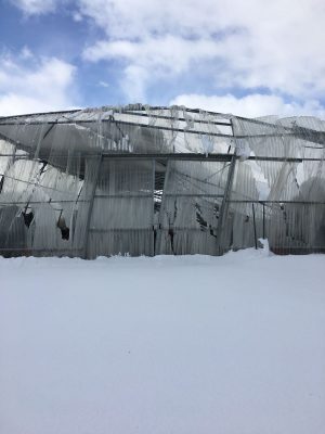 Emergenza neve, CIA Puglia: "Subito sgravi fiscali e fondi straordinari" - Corriere Salentino