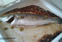 La ricetta del giorno: Spigola o branzino al forno Enogastronomia - Corriere Salentino