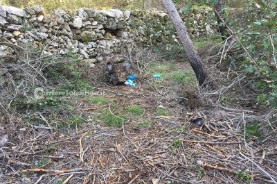 Macabra scoperta a Gallipoli: in un fusto ritrovati i resti di un cadavere - Corriere Salentino