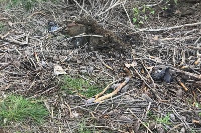 Macabra scoperta a Gallipoli: in un fusto ritrovati i resti di un cadavere - Corriere Salentino