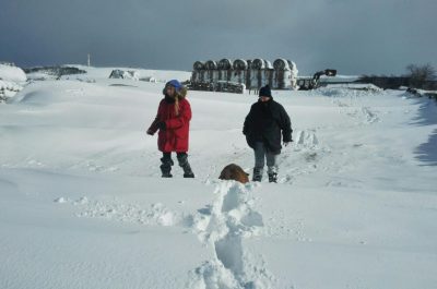 Emergenza neve nei campi: vigneti abbattuti e masserie isolate. CIA Puglia chiede lo stato di calamità - Corriere Salentino