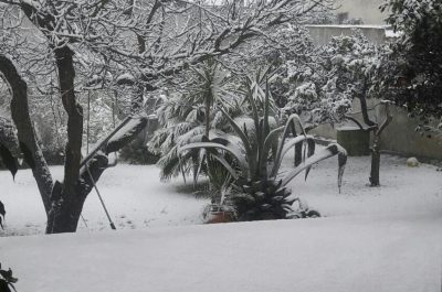 Il Salento nella morsa del gelo, ecco le immagini - Corriere Salentino