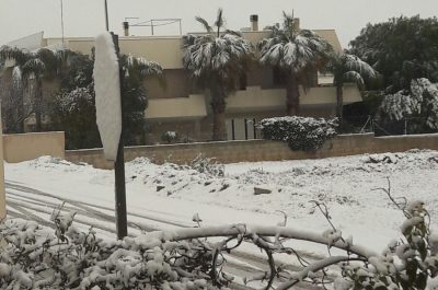 Il Salento nella morsa del gelo, ecco le immagini - Corriere Salentino