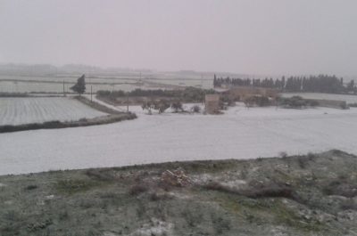 Il Salento nella morsa del gelo, ecco le immagini - Corriere Salentino