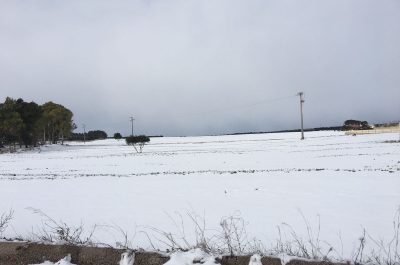 Cartoline dal Salento imbiancato: dai pupazzi di neve al Carlo V al manto bianco in riva al mare - Corriere Salentino