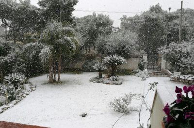 Il Salento nella morsa del gelo, ecco le immagini - Corriere Salentino