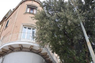 Lecce, ritardo nelle potature sulle vie cittadine. Lo Sportello dei Diritti: "Intervenga l’amministrazione" - Corriere Salentino