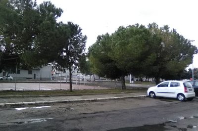 Piazzale San Michele e via Vergine alle spalle delle “Case Magno”, D'Agata: "Storie di ordinario degrado urbano" - Corriere Salentino