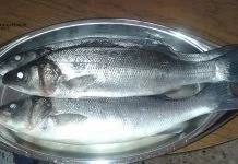 la ricetta del giorno: spigola alla marinara Enogastronomia - Corriere Salentino