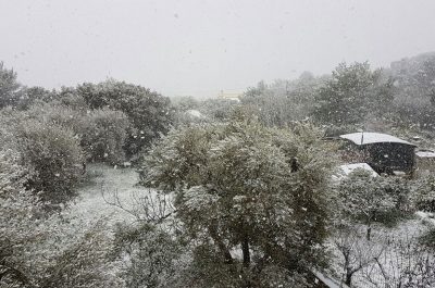 Il Salento nella morsa del gelo, ecco le immagini - Corriere Salentino