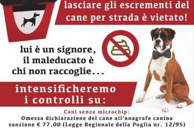 Nardò: al via la campagna di sensibilizzazione sugli obblighi dei proprietari dei cani: in arrivo controlli e multe - Corriere Salentino