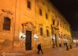 Mancata gestione nell’assistenza dei gatti randagi in un’Associazione? Indagato il sindaco di Lecce per rifiuti di atti d’ufficio