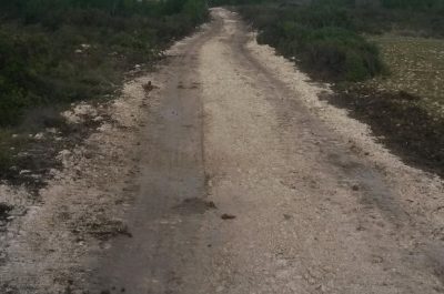 Strade abusive in zona vincolata: scattano sequestro e quattro denunce - Corriere Salentino