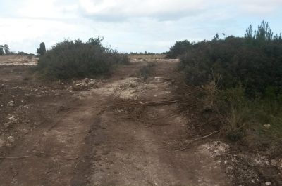 Strade abusive in zona vincolata: scattano sequestro e quattro denunce - Corriere Salentino