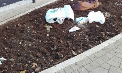 Incivili ancora in azione, aiuole appena fatte e già ingombrate da rifiuti - Corriere Salentino