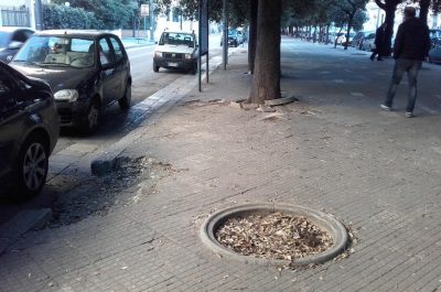 Viale Oronzo Quarta a Lecce: buche, dossi e alberi non potati. D'Agata: "Immagine negativa per il Salento" - Corriere Salentino