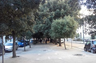 Viale Oronzo Quarta a Lecce: buche, dossi e alberi non potati. D'Agata: "Immagine negativa per il Salento" - Corriere Salentino