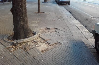 Viale Oronzo Quarta a Lecce: buche, dossi e alberi non potati. D'Agata: "Immagine negativa per il Salento" - Corriere Salentino