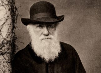 Darwin Day, sulle tracce di Darwin una mappa condivisa dei luoghi del cuore