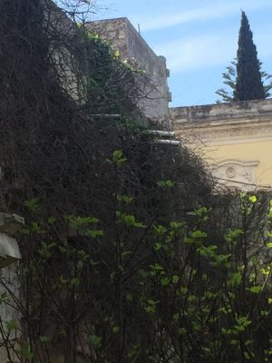 Centinaia di multe: lancio del rifiuto per non pagare le tasse. Lamentele per il degrado della chiesetta Santa Lucia, ma presto tutto sarà riqualificato - Corriere Salentino