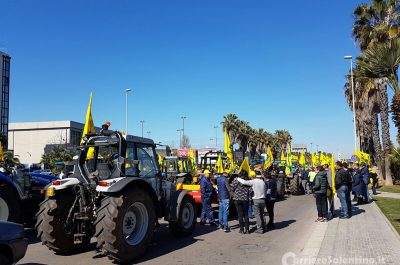 Xyella: la rabbia degli agricoltori a Lecce, contestato Emiliano - Corriere Salentino