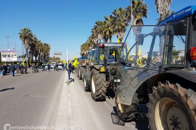 Xyella: la rabbia degli agricoltori a Lecce, contestato Emiliano - Corriere Salentino