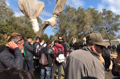 Tap: via libera all' espianto degli ulivi, polizia forza sit-in - Corriere Salentino
