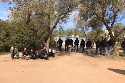 Tap: via libera all' espianto degli ulivi, polizia forza sit-in - Corriere Salentino