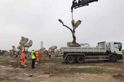 Tap: cominciato espianto degli ulivi, proteste degli attivisti e dei sindaci salentini - Corriere Salentino