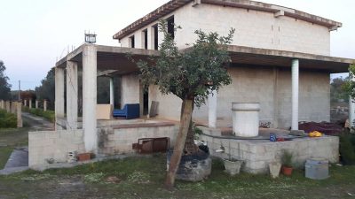 Furto in un vivaio, ladri via con 30mila euro di piante e arbusti - Corriere Salentino