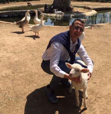 Lecce, l’Assessorato all’Ambiente adotta un agnellino. Guido: "Una pasqua felice anche per questi animali" - Corriere Salentino