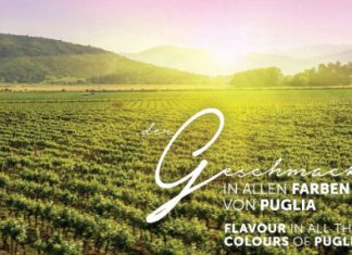 Vigneto cileno sulla brochure della Puglia, figuraccia al Vinitaly. Stefàno: “La Puglia da regina rischia di diventare zimbello”