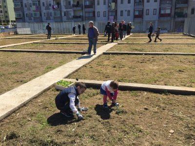 Orto di Esopo, ai residenti della zona di piazzale Sondrio delle aree da coltivare - Corriere Salentino