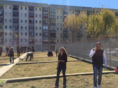 Orto di Esopo, ai residenti della zona di piazzale Sondrio delle aree da coltivare - Corriere Salentino