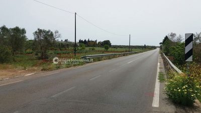 Auto contro ulivo sulla Casarano-Ugento, un ferito in codice rosso in ospedale - Corriere Salentino