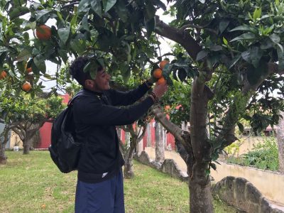 Da Torino a Tuglie per il Museo della civiltà contadina - Corriere Salentino