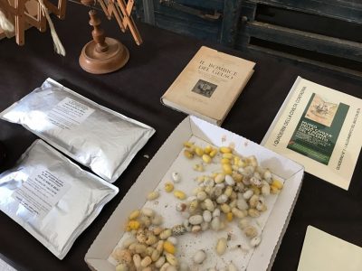 Da Torino a Tuglie per il Museo della civiltà contadina - Corriere Salentino