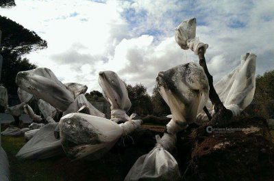 Tap: lavori ancora fermi, il presidio continua - Corriere Salentino