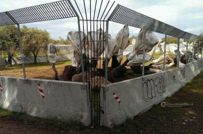 Tap: lavori ancora fermi, il presidio continua - Corriere Salentino