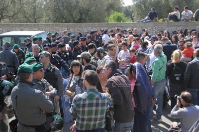 Tap: stop all'espianto, i camion tornano indietro - Corriere Salentino