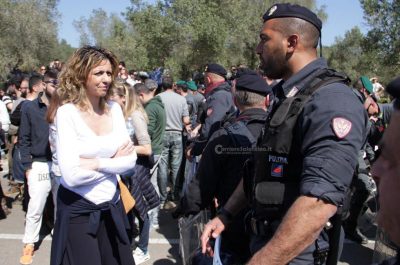 Tap: stop all'espianto, i camion tornano indietro - Corriere Salentino