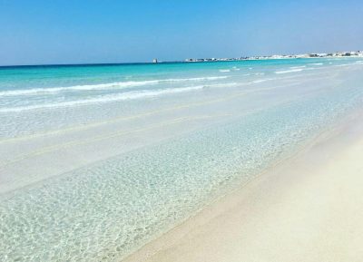 Le meraviglie tra Porto Cesareo e Torre Colimena: i fenicotteri e l'acqua cristallina - Corriere Salentino