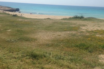 Cittadini in spiaggia a Ugento. Costa ripulita dai rifiuti per dimostrare chi sono realmente i salentini - Corriere Salentino