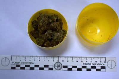 In casa con "estranei" ed una serra per la marijuana: denunciato - Corriere Salentino