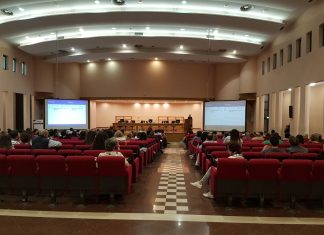 Dieta mediterranea e nutraceutica per la cura delle dislipidemie e la prevenzione cardiocascolare